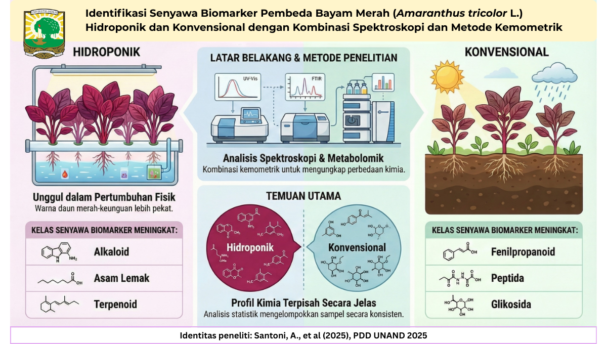 Identifikasi Senyawa Biomarker Pembeda Bayam Merah (Amaranthus tricolor L.) Hidroponik dan Konvensional dengan Kombinasi Spektroskopi dan Metode Kemometrik